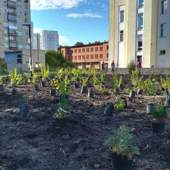 Акция "Благоустройство города"