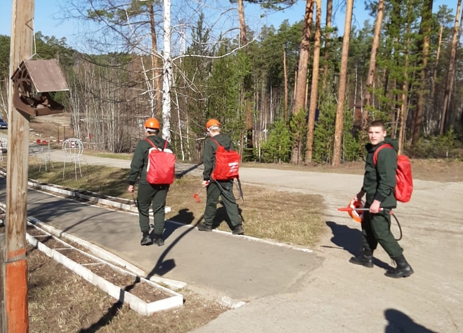 Добровольная пожарная дружина
