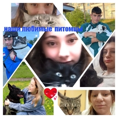 В 2025 году Всемирный день домашних животных отмечается 30 ноября