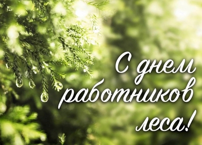 В третье воскресенье сентября в России отмечается День работников леса!